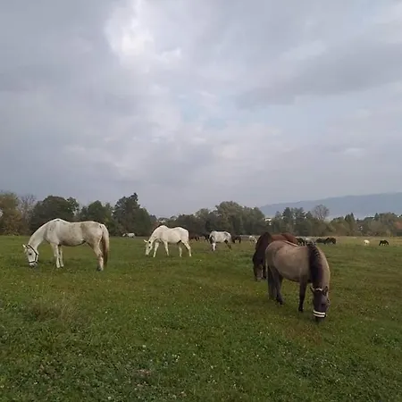 Gerendaház Siedlisko Na Jastrzabce