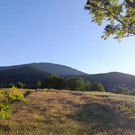 Siedlisko Na Jastrzabce Gerendaház Lipowa