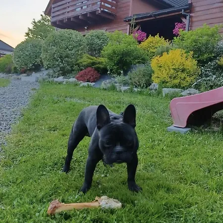 Siedlisko Na Jastrzabce * リポバ