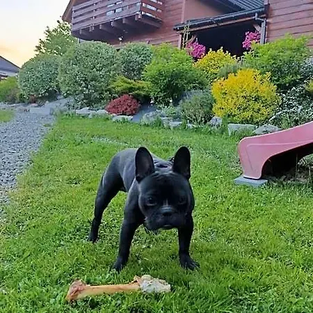 Siedlisko Na Jastrzabce Lodge Lipowa