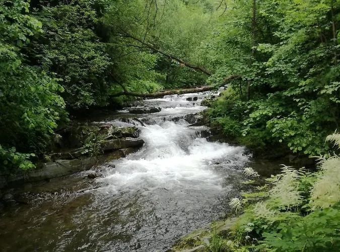 Siedlisko Na Jastrzabce Alojamento de Turismo Selvagem Lipowa