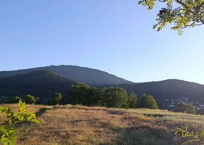 Siedlisko Na Jastrzabce אכסניה ליפובה