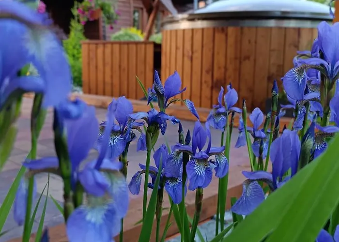 Siedlisko Na Jastrzabce *