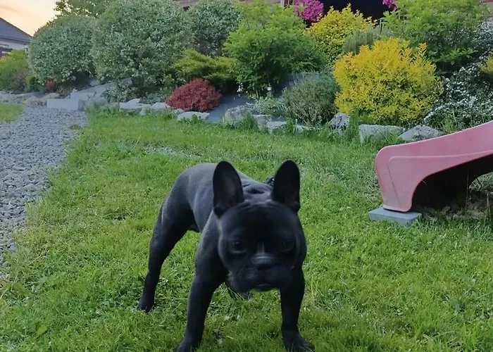 Siedlisko Na Jastrzabce * ליפובה